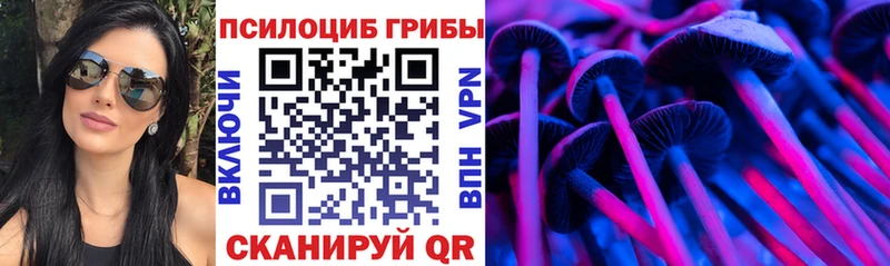 Псилоцибиновые грибы GOLDEN TEACHER  Купить где  Дорогобуж 